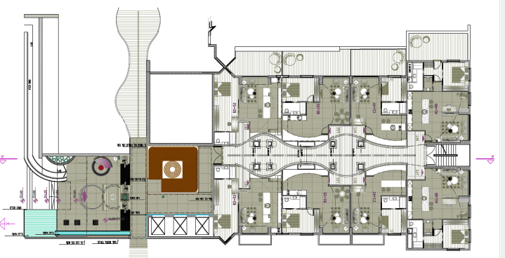 פרוייקט לימודים צהלה